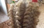 Косы на длинные волосы - схемы плетения и фото Плетение косички из 3 прядей