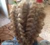 Косы на длинные волосы - схемы плетения и фото Плетение косички из 3 прядей